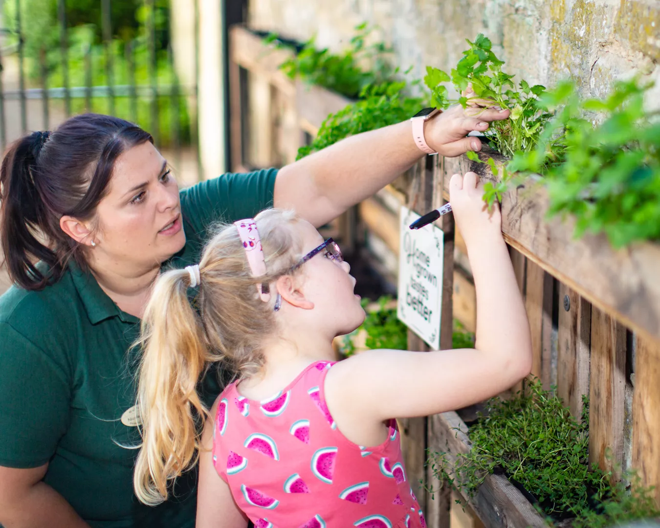 Nicole Herb garden